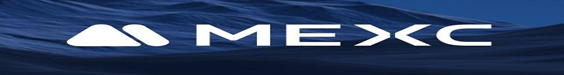 Info, votes about exchanger TurkMoney